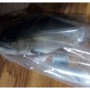 자은황토펜션 이미지