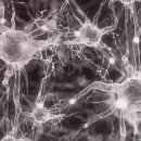 서울본브릿지병원 이미지