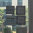 소맘김밥