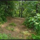 지곡낚시터 이미지