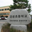 금성초등학교 총동문회 창립총회 이미지