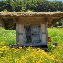 초옥동천 이미지