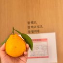 마미맘스산후조리원 | [용인산후조리원]김량장동 마미맘스산후조리원 3주 후기
