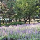 함현공원 이미지