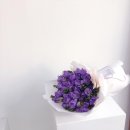 후리지아 이미지