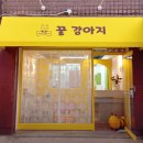 꿀강아지 테리하우스 이미지