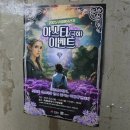 동해시-26 | 동해 무릉별유천지 아스타 이벤트 후기(25.09.26-28)