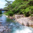 그린펜션 간이화장실 이미지