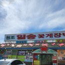 일송식당 | 안면도게국지 안면도 원조의 자부심! 블루리본 5년 연속 일송꽃게장백반 본점 방문후기