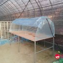 체리목장 이미지