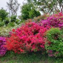 정각사입구 이미지