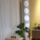 누리켄넬 이미지