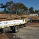 공원관리사업소 이미지