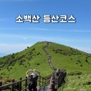 삼거리밧데리 - 김제시 만경로 697 | 소백산 등산코스 어의곡~국망봉~비로봉~연화봉 산행 후기