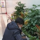 목포조경농원