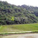 원천리농장 이미지