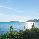 오션테라 이미지