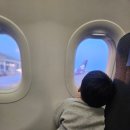 미래목장 | 4박5일 나트랑 대가족여행 1일~2일차 _ 나트랑 파라타항공, 판랑사막투어, 양떼목장, 판랑 점심식사