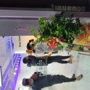 포토스트리트&미미오락실 이미지