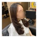 알레이 헤어 Rray Hair