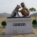 돈지백구마을 이미지
