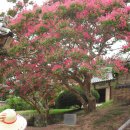 같은마음 이미지