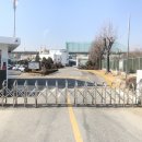 용인대문주 이미지
