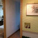 정자3동 877-4 이미지