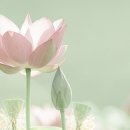 다산박물관 이미지