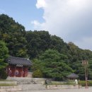 성남2길 이미지