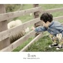 현진목장 이미지