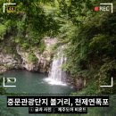 소군수 | 2026 제주 국가유산 탐험 32, 중문 관광단지 볼거리 제주 천제연폭포