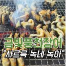 금빛장어 | 곰소 금빛장어 초등학생도 흡입한 장어구이 내돈내산
