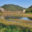 선진공원 주차장 이미지