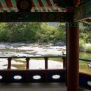 농월정야영장 이미지