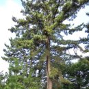 해은사 | 김해 분성산 해은사