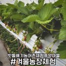 빗돌배기마을 | 빗돌배기마을 겨울 아이랑 갈만한 곳으로 강추