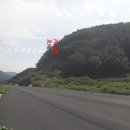 신서면-1 네이버블로그