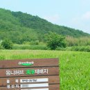 해바람한의원 이미지