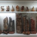 중원대학교 박물관 이미지