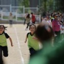 금빛초등학교 이미지