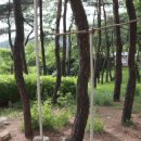 진안고원치유의숲 이미지