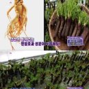 스튜디오두릅 이미지