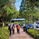 한라산둘레길 사려니숲길 이미지