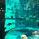 부산해양박물관 이미지