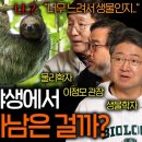 느려터진 나무늘보가 야생에서 살아남은 놀라운 진화 (이미 멸종했어야..) | 과학을 보다 EP.107﻿ 이미지