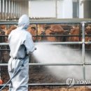 동일한우농장 이미지