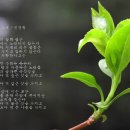 봄의노래 이미지