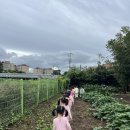 행복아트 이미지