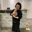 한강켄넬 이미지